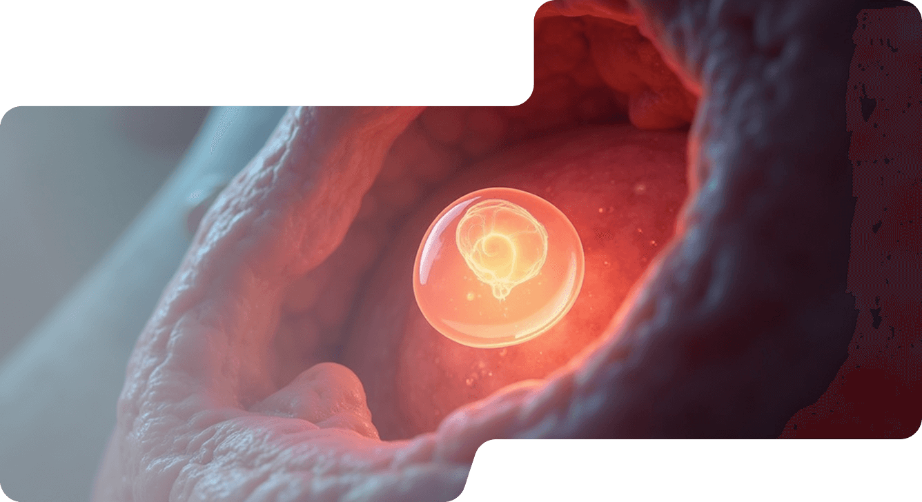 Pendampingan pasca transfer embrio